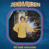 Zeki Müren Bir Tatlı Tebessüm - Plak - Schallplatte